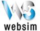 logo_websim