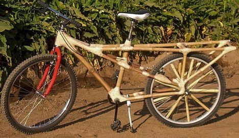 bamboo-bike-africa.jpg