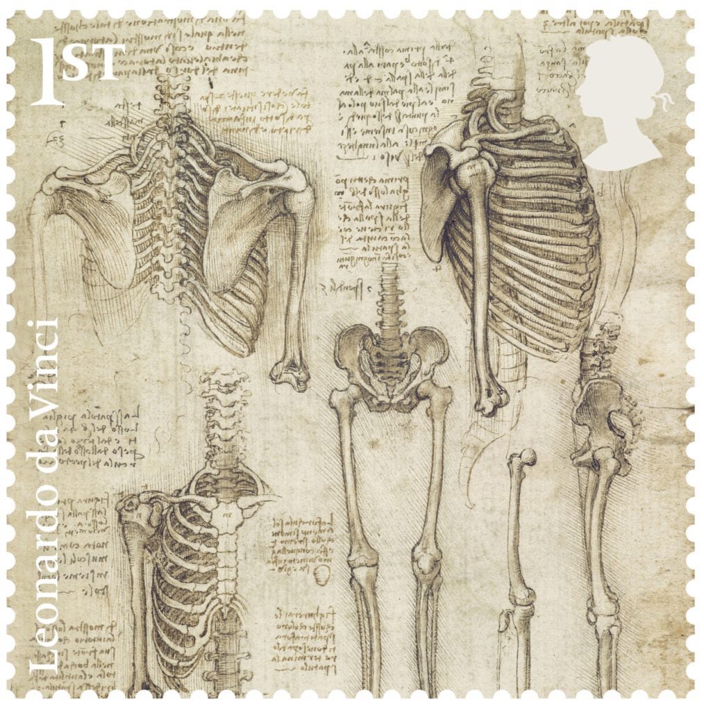Leonardo-The-Skeleton-stamp-400-1014x1024