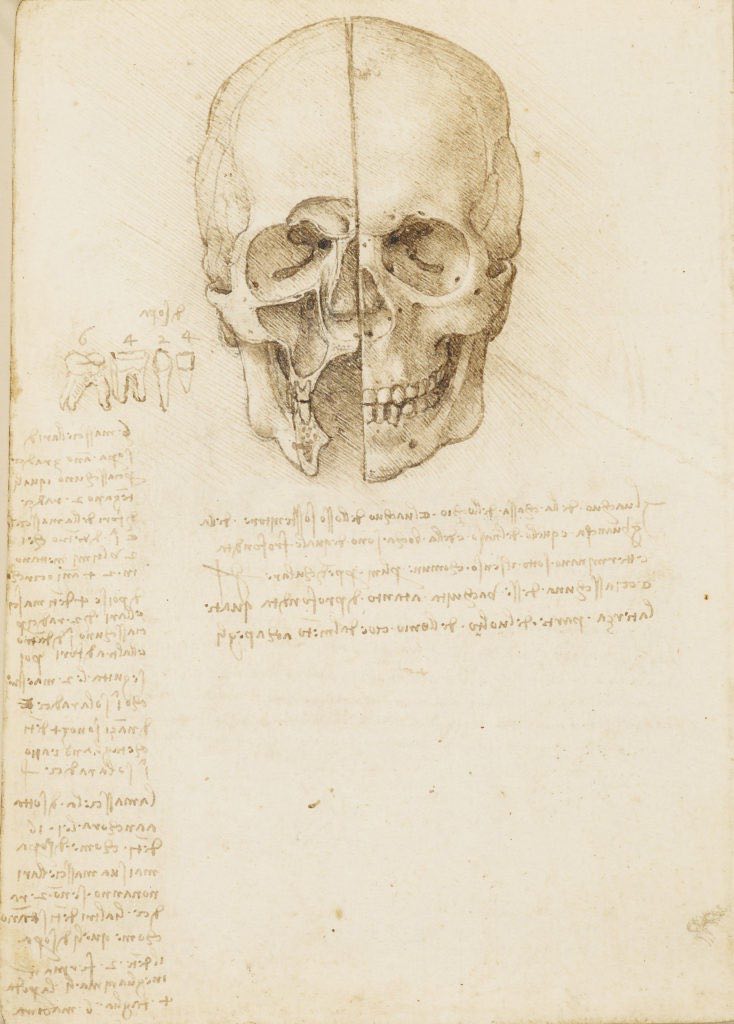 Ulster Museum, Belfast Leonardo da Vinci, The skull sectioned, 1489, traces of black chalk, pen and ink Royal Collection Trust / (c) Her Majesty Queen Elizabeth II 2018 For single use only in connection with the 'Leonardo da Vinci: A Life in Drawing' exhibitions, which will open simultaneously at 12 museums and galleries across the UK in February 2019, followed by two further exhibitions at The Queen's Galleries in London and Edinburgh. Not to be archived or sold on. 