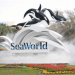 SeaWorld private equity