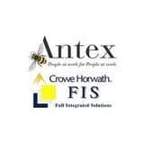 FIS-Antex private equity