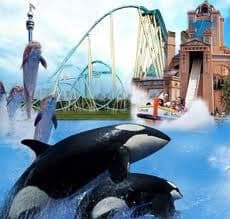 SeaWorld Blackstone