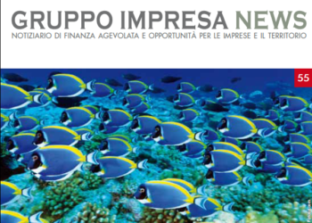 Gruppo Impresa News reti d'impresa