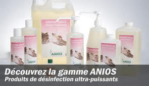 anios