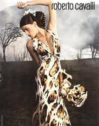 Roberto Cavalli private equity