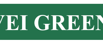 Joint venture tra Vei Green II e Q-Energy per realizzare in Italia progetti fotovoltaici in grid-parity. Investimento da 60 mln euro