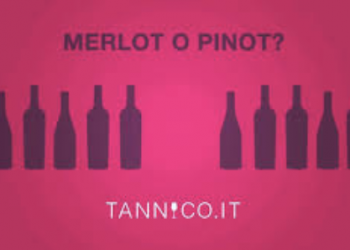 JV tra Moët Hennessy e Campari, che conferisce Tannico, per investire nell’e-commerce di vino e spiriti