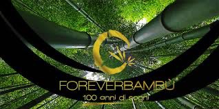 Forever Bambù prepara la quotazione in Borsa, dopo aver raccolto oltre 3,5 mln euro su Opstart