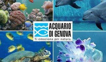 L’Acquario di Genova nel mirino della francese Looping Group, partecipata da Mubadala