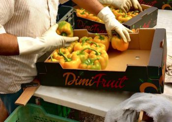 Unifrutti compra gli ortaggi spagnoli Dimifruit