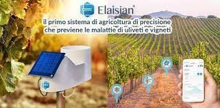 La startup agritech Elaisian chiude un round da 1 mln euro