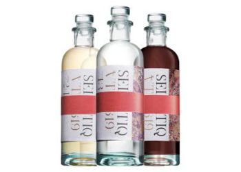 Nuovo round per Bewilder Beverages. Lo guida Branca International