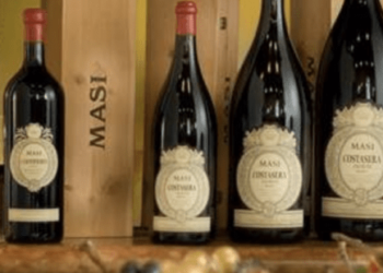 La Red Circle  di Renzo Rosso sale al 7,5% dei vini Masi Agricola