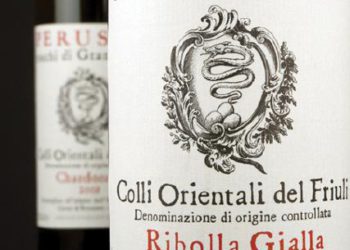 Vino, cultura di un territorio Ce lo racconta Tommaso Pace Perusini