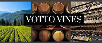 Prosit, partecipata da Made in Italy Fund, compra i vini dell’americana Votto Vines