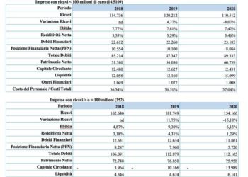 Impatto Covid molto limitato sui bilanci 2020 delle pmi italiane.  La prova vera è nel 2021. Lo calcola Leanus. Webinar con focus su private equity il 7 luglio