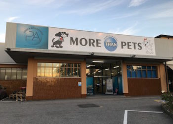 Demas (LBO France) al controllo del distributore di farmaci per animali Punto Azzurro