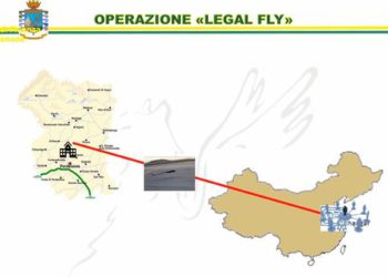 Golden power, il caso Alpi Aviation e gli investitori cinesi. Ecco tutti i pezzi del puzzle