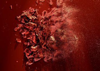 Il duo che ha inventato la prima piattaforma crittografica al mondo dell’arte nel 2014 è tornato con uno strumento per aiutare le gallerie a lanciare i propri mercati NFT