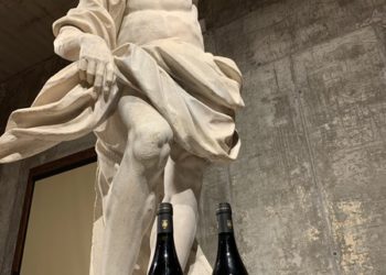 In arrivo a breve il Brut di La Collina dei Ciliegi, dopo il rosso Verona “Vino del Duomo”, per celebrare il progetto Adotta una Statua della Veneranda Fabbrica del Duomo di Milano
