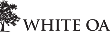 Notizie da White Oak, New Mountain, Pantheon, Banner Ridge, Providence, Macquarie Group, Ares Management
