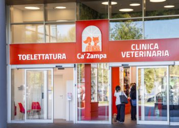 G Square Healthcare Private Equity compra la maggioranza di Ca’ Zampa per creare un gruppo leader nei servizi agli animali domestici