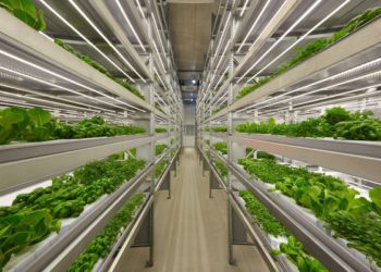Planet Farms Holding chiude nuovo round da 30 mln euro. Lo guida Azimut con un gruppo di clienti HNWI