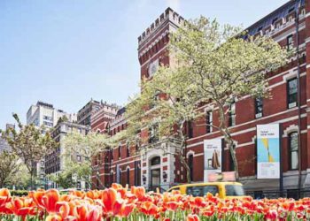 TEFAF New York si prepara a un ritorno trionfale a maggio