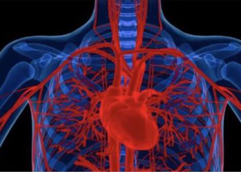 Heqet Therapeutics, spin-out del King’s College di Londra, incassa round da 6,6 mln sterline da Claris Ventures e 2 Invest