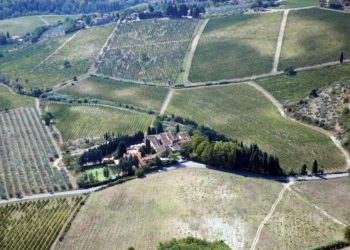 Terraelectae, la cultura di un territorio nel bicchiere