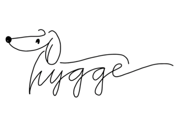 Hygge, la startup del pet food personalizzato, chiude round da 300 mila euro guidato da Prana Ventures
