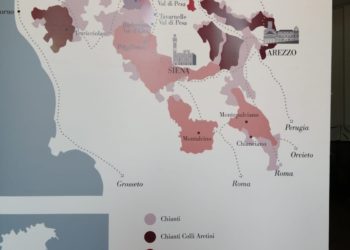 Terraelectae, il vino ambasciatore della cultura (Prima Parte)
