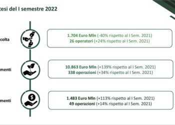 Boom di investimenti per il private equity italiano nel primo semestre, a quota 10,8 mld euro. Raccolta invece in calo del 40%. Lo dicono AIFI-PwC