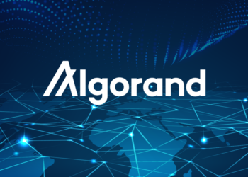 La piattaforma blockchain Algorand si allea con la Bocconi per fondare un laboratorio di ricerca sulla criptoeconomia