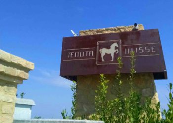 White Bridge Investments II brinda coi vini abruzzesi di Tenuta Ulisse. Prima tappa di un nuovo polo del vino di alta gamma