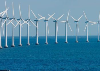 Nereus (Nexta Capital Partners) presenta il progetto di un parco eolico marino da 2,2 GW a sud del Gargano