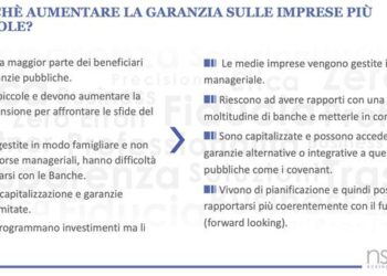 Le garanzie pubbliche? Inversamente proporzionali alla dimensione delle imprese. Lo dicono il gruppo Nsa e la Cattolica di Milano