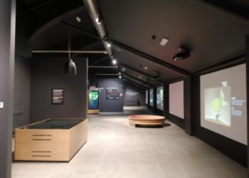 Argea, binomio stretto tra arte e vino. BeBeez visita il Museo del vino Mondodelvino Wine Experience