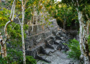 I ricercatori che utilizzano la tecnologia laser hanno individuato quasi 1.000 insediamenti Maya precedentemente sconosciuti in Guatemala