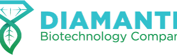La biotech Diamante chiude round da 595k euro guidato dal fondo americano-israeliano Arieli Capital