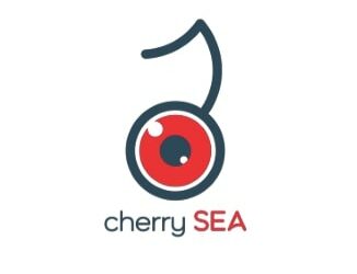 Con un 30% in meno, prosegue il calo delle procedure fallimentari in Italia a fine 2022. Lo calcola la startup fintech Cherry Sea