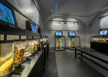 A Firenze i profumi come opere d’arte