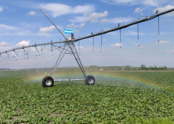 Agrostar emette due minibond per un totale di 3 mln euro. Li sottoscrive Zenit sgr