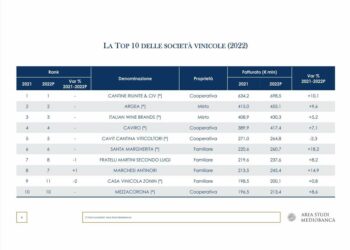 Vino, cresce il peso del private equity nel capitale. Lo calcola Mediobanca nel suo ultimo report sul settore