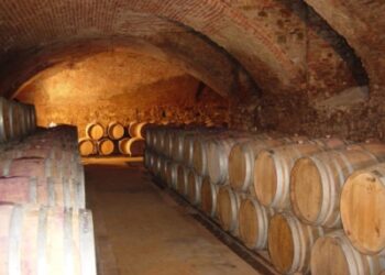 Nell’azienda Luretta, l’arte arriva nel bicchiere