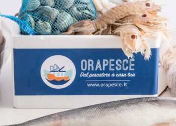 L’e-commerce del pesce fresco Orapesce si assicura finanziamento convertibile da 500k euro da Intesa Sanpaolo