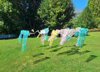 MOTHER SAI FOUNDATION: Incontro che abbraccia la spiritualità, l’educazione e il servizio