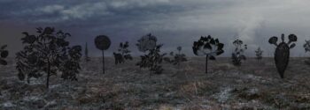 La Nashira Gallery di Milano apre i battenti alla mostra “Natural Reserve” dell’artista israeliano Zadok Ben-David