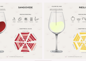 Winelivery, e-commerce del vino, acquisisce Become Somm, community online di settore